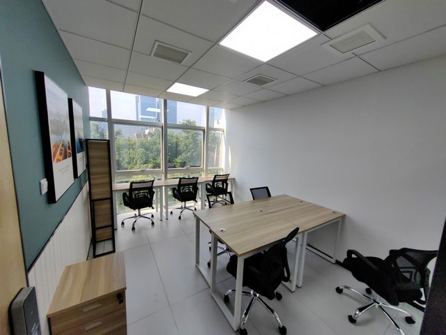 佛山石金钱龟养殖厂家推荐