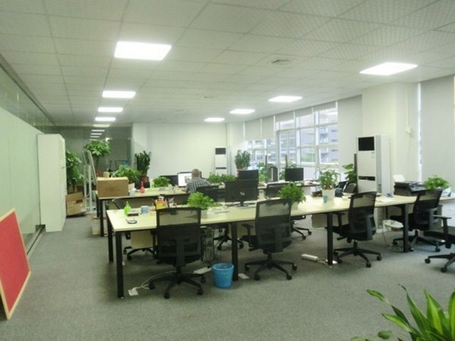 四川记忆枕厂家直销