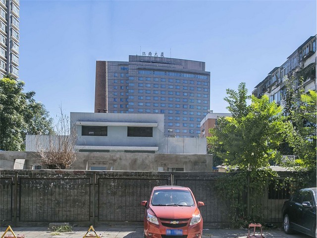 云南富源紫魔芋种子多少钱一公斤