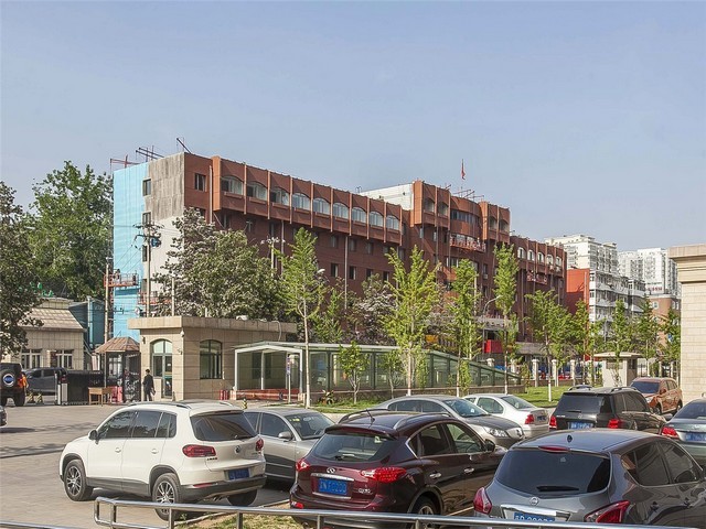 天台县道路绿化花卉绿植怎么样